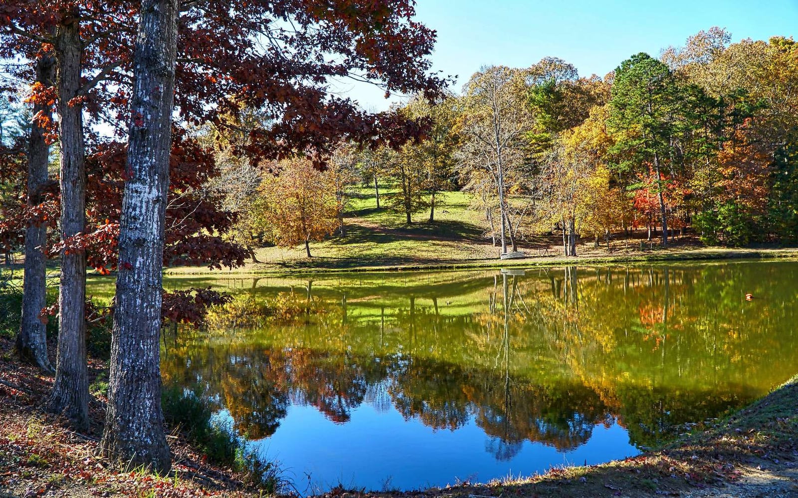 5.4M lakefront estate in the North Georgia mountains