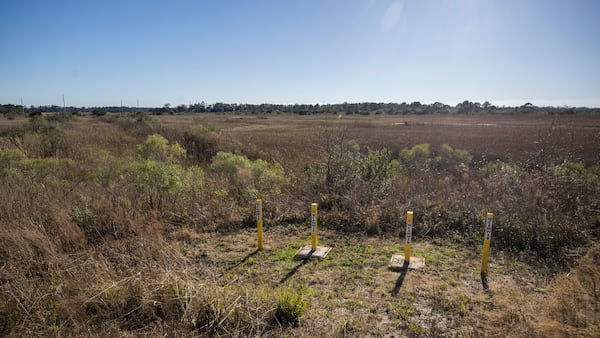 Four vertical wells stand on the edge of a 750 acre marsh that borders the SeaPoint property. SeaPoint donated the marsh to the state and continues to monitor for any contamination. (Stephen B. Morton for the AJC)