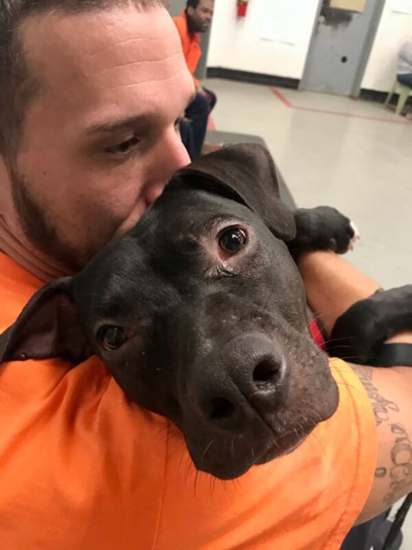 Canine CellMates (CCM) recently opened its doors to a new building in collaboration with Best Friends Animal Society. The building, which is located in Cobb County, will allow CCM to further its rehabilitative programs that utilize shelter dogs to change the lives of incarcerated men in Atlanta.
CCM began in 2013 working with the Fulton County Jail to provide a better life for both inmates and rescued shelter dogs. The program is an intensive 10-week course, where carefully selected participants are assigned the responsibility of taking care of selected shelter dogs, with the goal of preparing them for adoption. In addition, the inmates are taught valuable workforce and social-emotional skills to help them break the cycle of recidivism. To date, more than 400 inmates have participated in CCM program, and more than 150 dogs have been adopted into forever homes.
Now, more than ever, with overcrowding jails and the lack of supportive services for inmates, repeat arrest cycles will continue without rehabilitation services like CCM. Rehabilitation is about putting an end to the cycle of recidivism that will otherwise continue to place the burden back on the corrections system and on American taxpayers. To learn how you can help sustain this effort to impact many lives, both human and canine, visit www.caninecellmates.org.