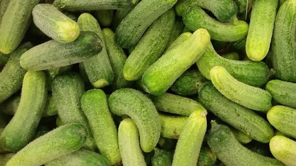 Massachusetts man charged with hitting man with pickle