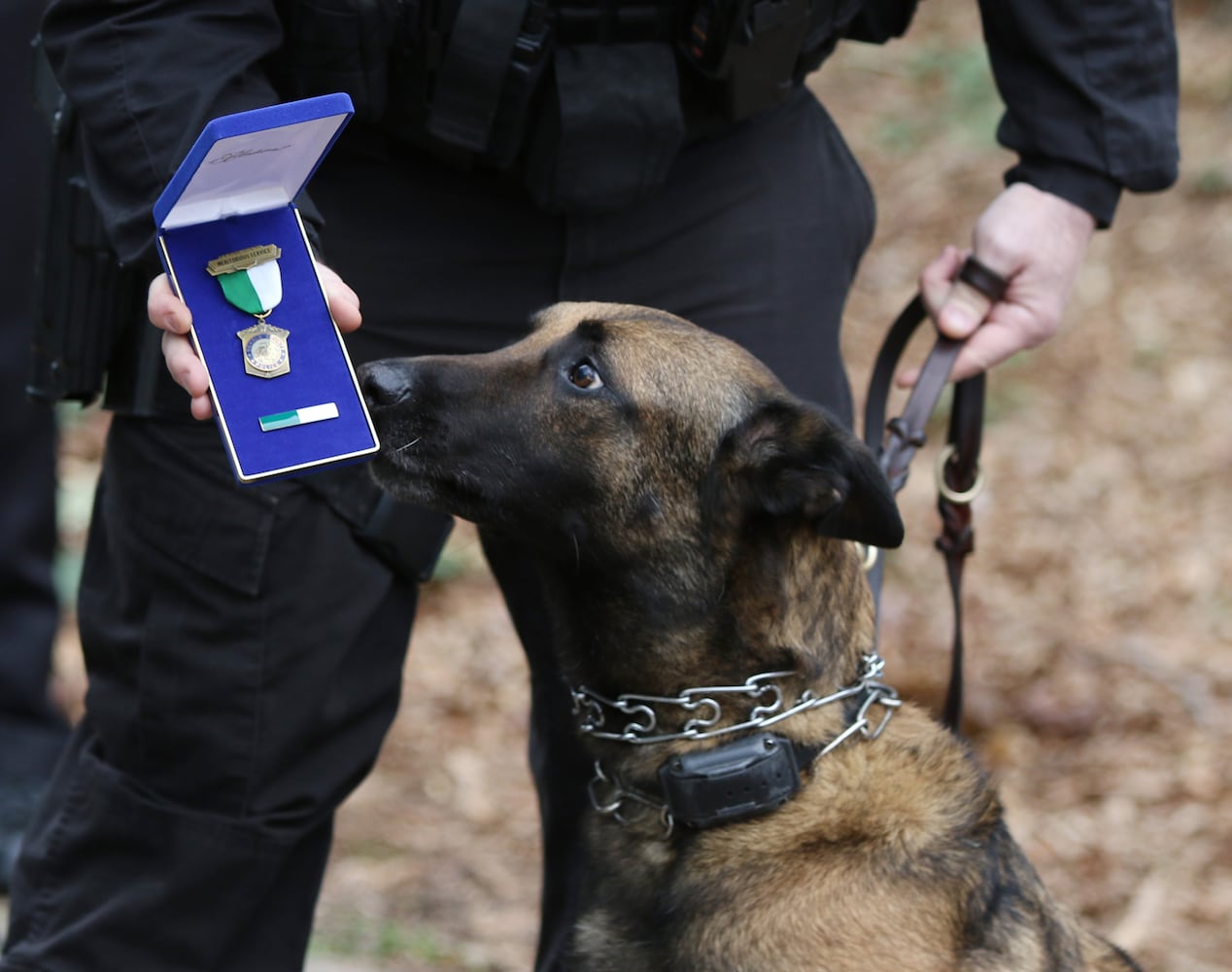 DeKalb Police welcome back K-9 Indi with Purple Heart