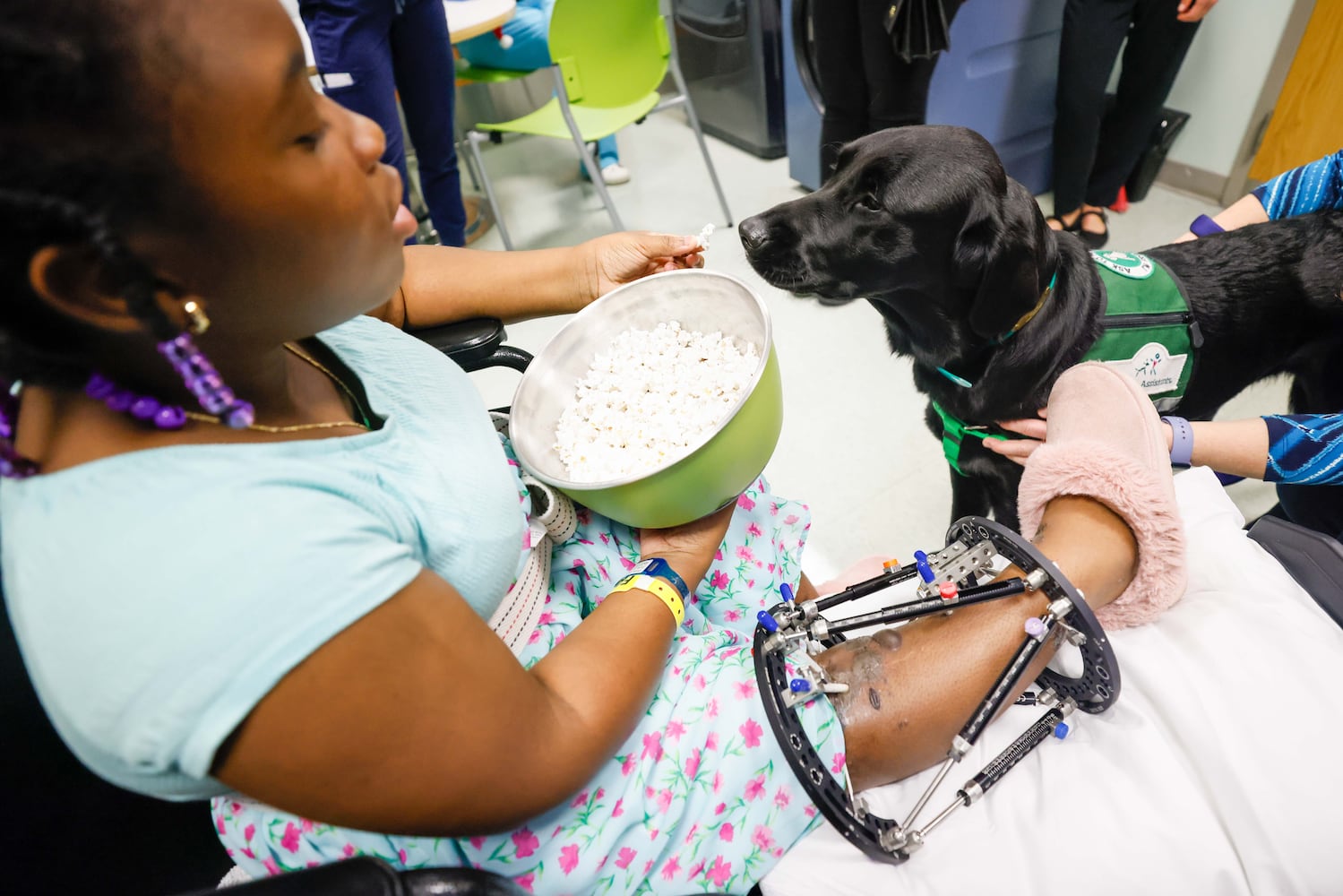 Children's new therapy dog