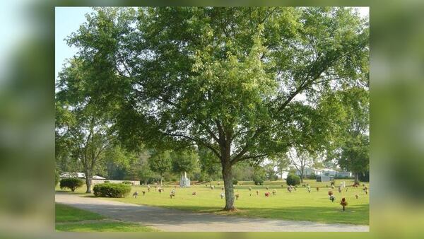 Meadowbrook Memory Gardens in Villa Rica called Carroll County sheriff's deputies to investigate missing grave memorials on Nov. 22. Two employees were later arrested and accused of the thefts.