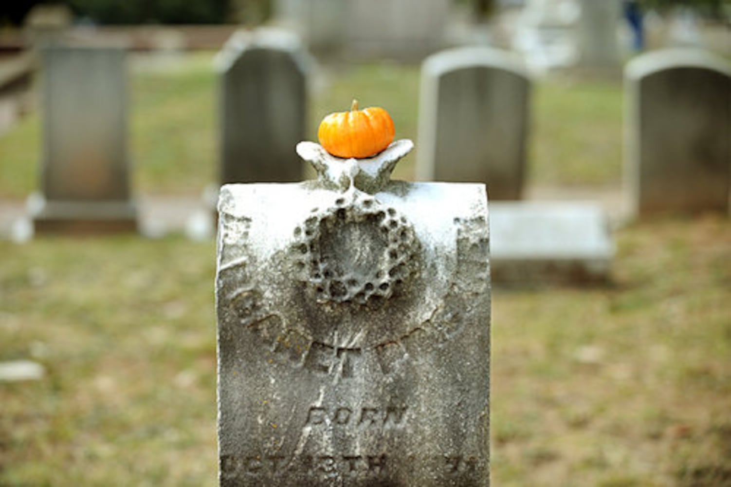 Sunday in the Park at Oakland Cemetery