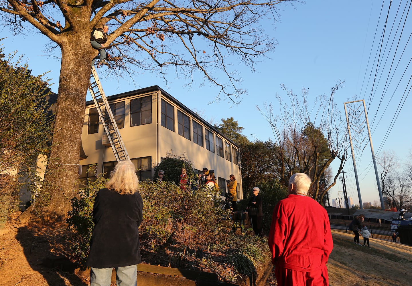 Woman climbs tree to stop Georgia Power