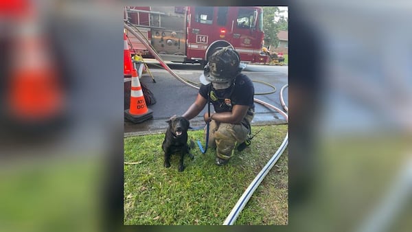 Darius Crowder and Xina embrace after he found her safe from a house fire at a doggy daycare Wednesday afternoon. 