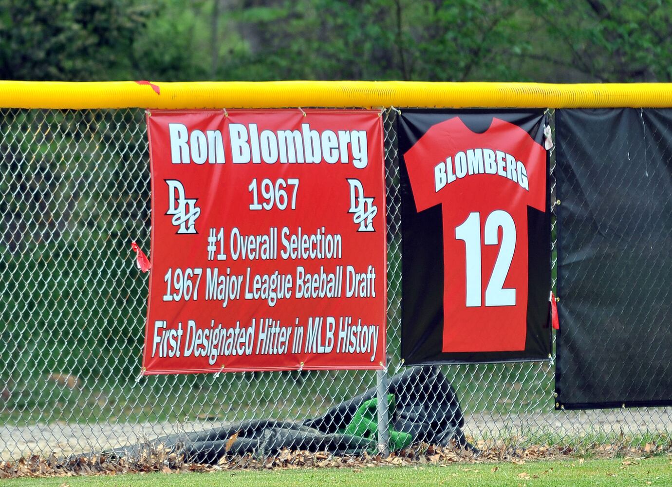 Ron Blomberg