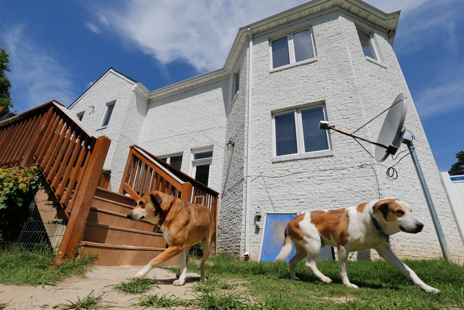 Former Bad Newz Kennels now a refuge for dogs