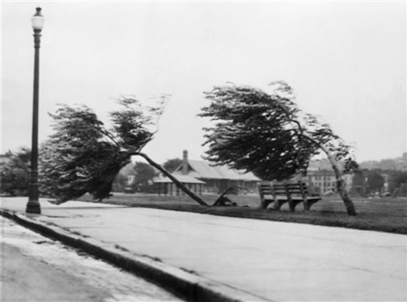 The Great Hurricane of 1938 cut a destructive path through New York & New England. Nicknamed the Long Island Express it left approximately 700 dead