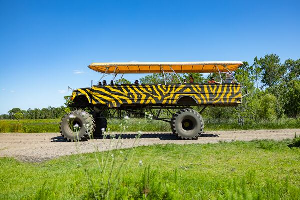 Take a monster truck ride through the citrus groves at Showcase of Citrus.
(Courtesy of Discover Lake County, Florida)