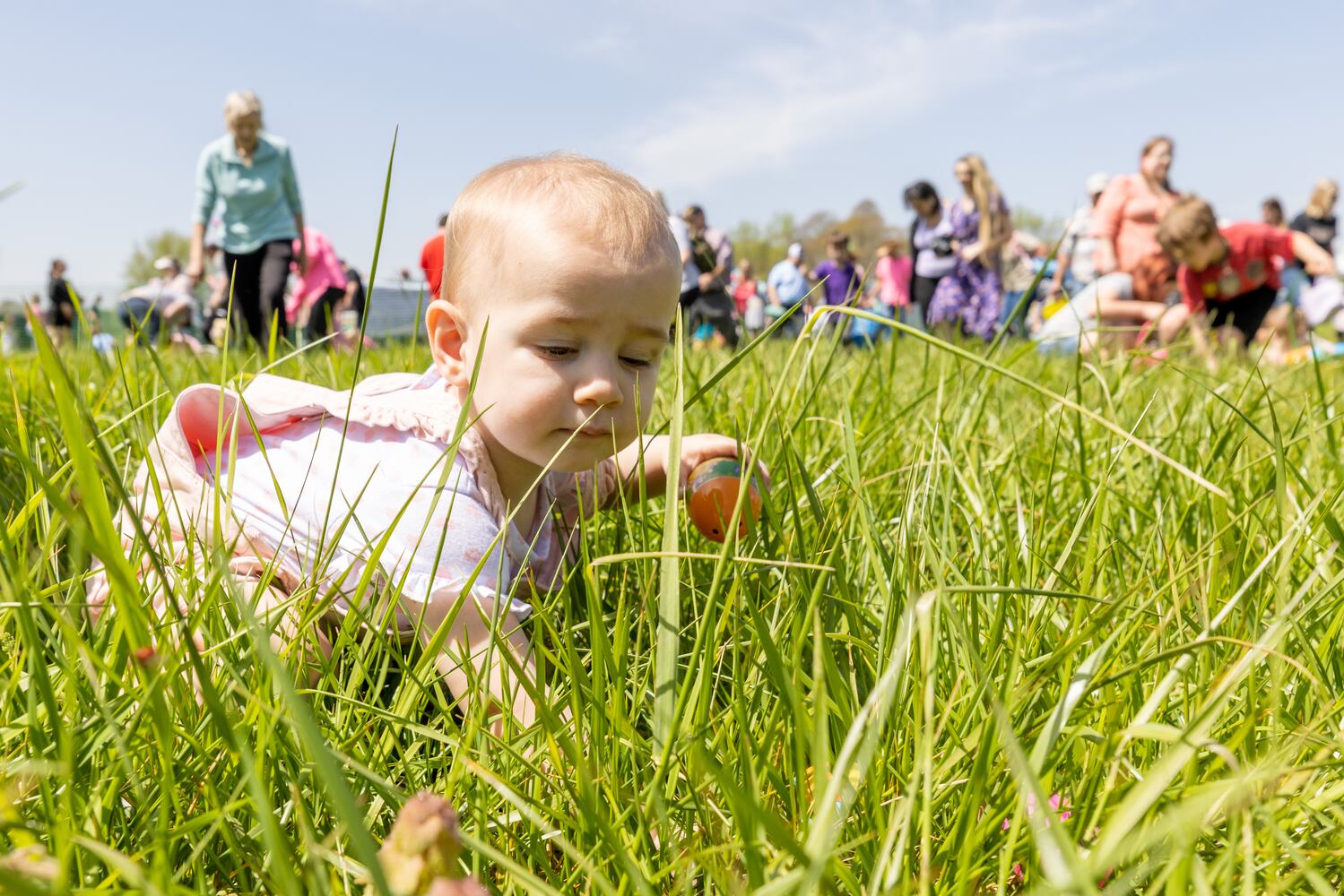  Easter egg Hunts