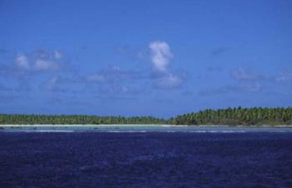 A view of Nikumaroro (formerly Gardner) Island, where some historians believe Amelia Earhart and her navigator Fred Noonan died as castaways after crash landing just offshore from the island in 1937.