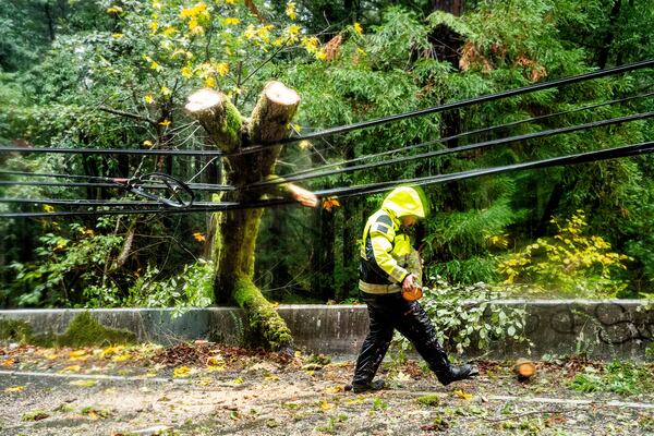 A firefighter clears branches from a tree that toppled into power lines during heavy rains on Wednesday, Nov. 20, 2024, in the Occidental community in unincorporated Sonoma County, Calif. (AP Photo/Noah Berger)