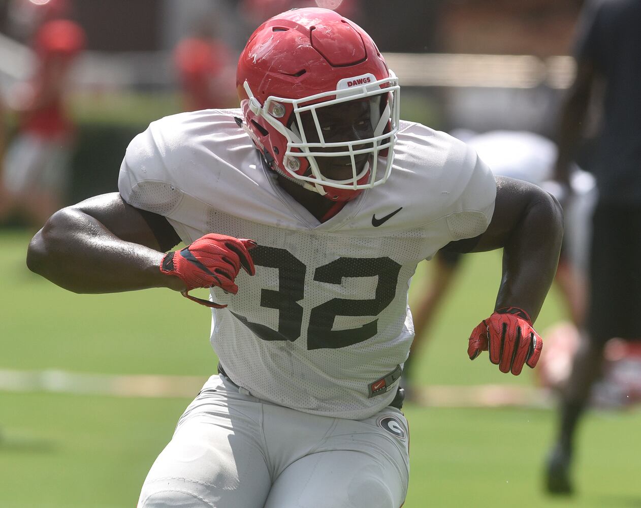 Photos: Bulldogs working hard even on Fan Day