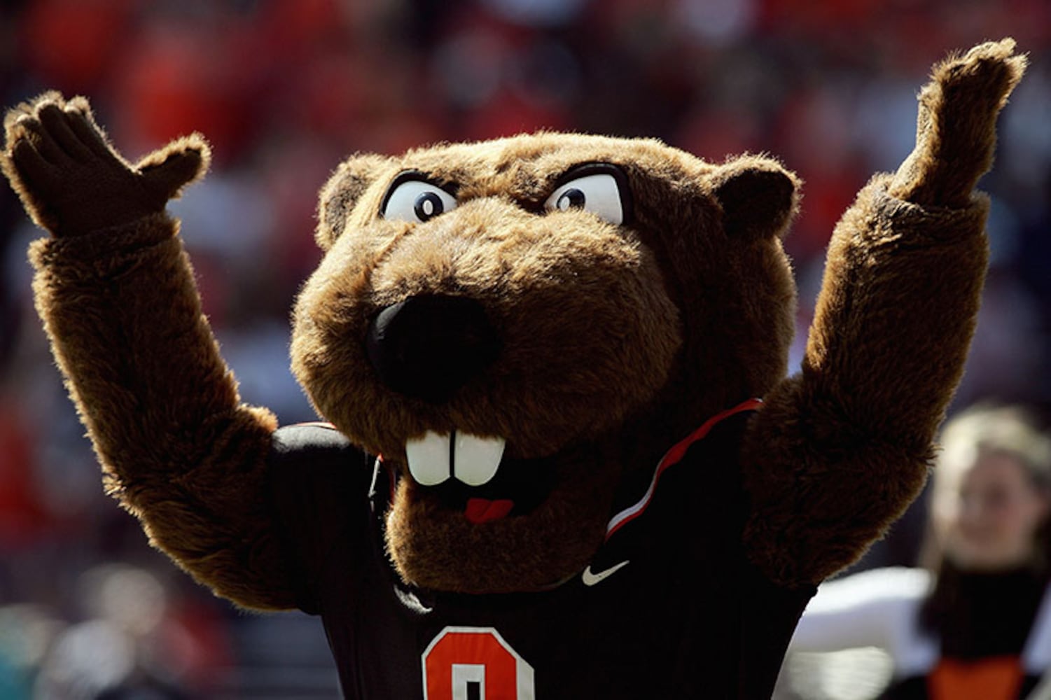 Oregon State Beavers