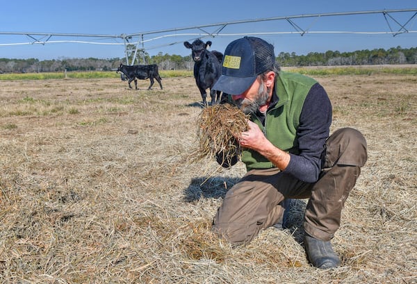 Dan Glenn can smell when baleage  is healthy for his cattle to consume.  (CHRIS HUNT FOR THE ATLANTA JOURNAL-CONSTITUTION)