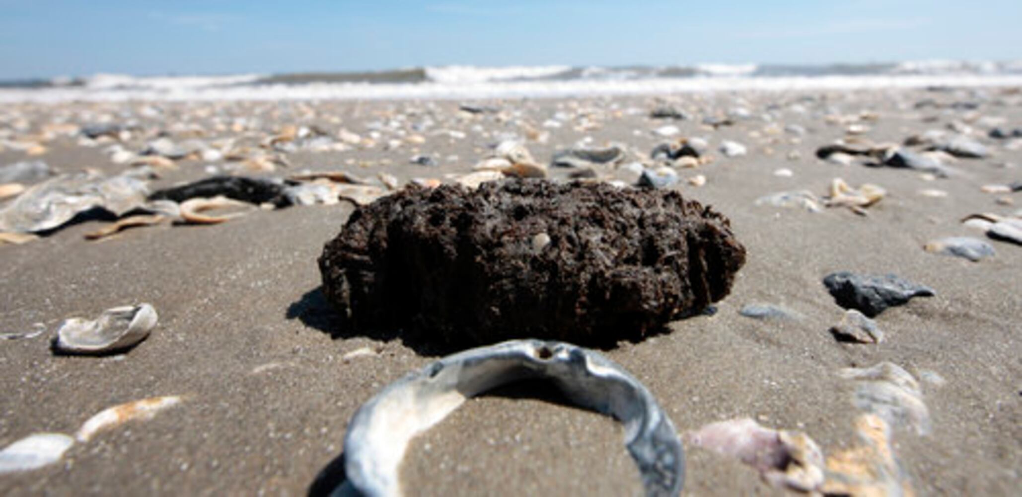 Deepwater Horizon oil spill on the Gulf -- One year later