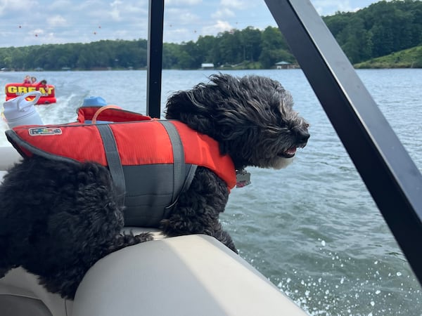 JoJo Davis out for a July 4th adventure on Lake Jackson. (Courtesy photo)