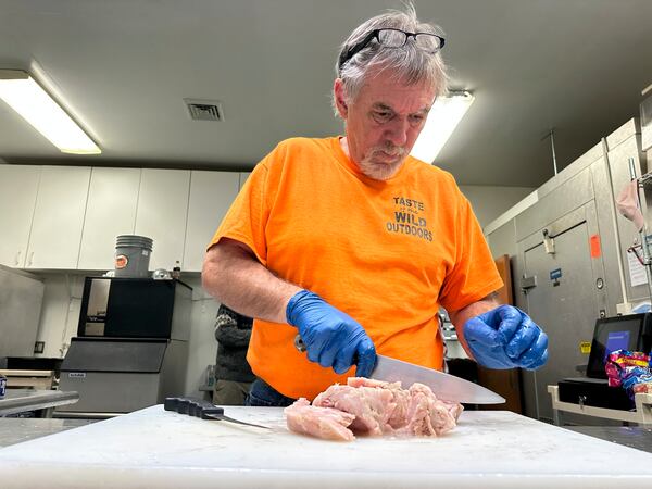 Event organizer Larry Primeau cuts up alligator, the "mystery meat," to serve at a wild game dinner in Pine Grove, Pa., on Saturday, Feb. 15, 2025. (AP Photo/Tass Vejpongsa)