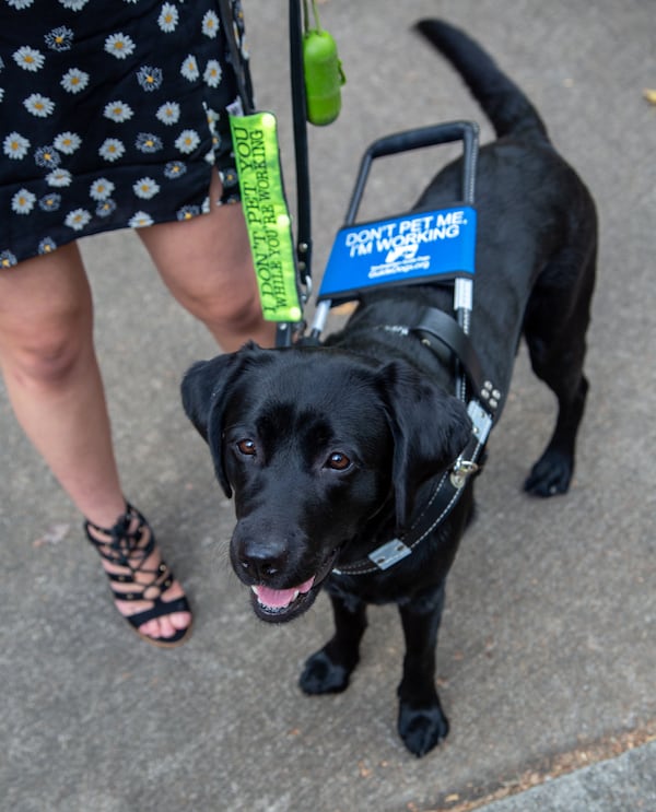 Legally blind Georgia Tech student, Nola Timmins, walks around the campus with the help of her guide dog and best friend, Brizzy. PHIL SKINNER FOR THE ATLANTA JOURNAL-CONSTITUTION.