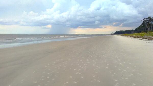 Crowds are something you won't find on the beaches of Daufuskie Island in South Carolina.
(Courtesy of Blake Guthrie)