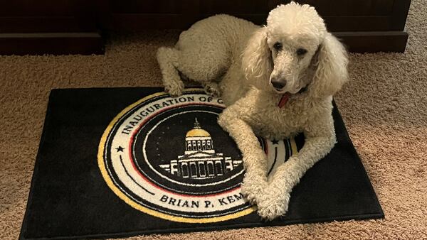 Bella Ballard, a standard poodle, is the AJC Jolt Dog of the Day. (Courtesy photo)