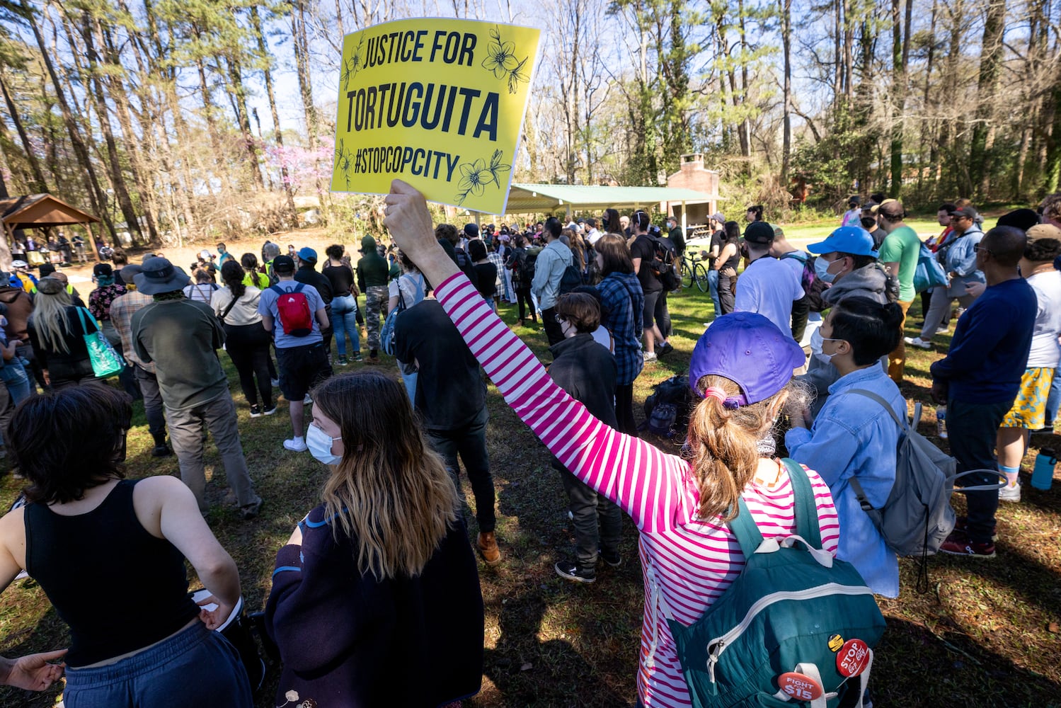 Defend the Atlanta Forest