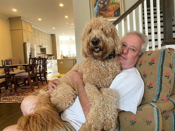 Boba Olens is the oversized lap dog of former Georgia Attorney General Sam Olens. (Courtesy photo)