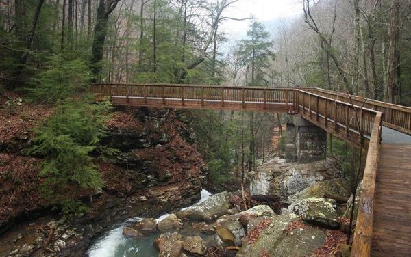 Cloudland Canyon State Park includes interesting scenery such as deep canyons and wild caves.