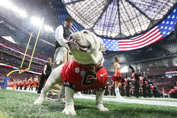 Georgia Bulldogs mascot Uga X prowls the sidelines during the first half of the SEC Football Championship at Mercedes-Benz Stadium, December 2, 2017, in Atlanta.  Curtis Compton / ccompton@ajc.com