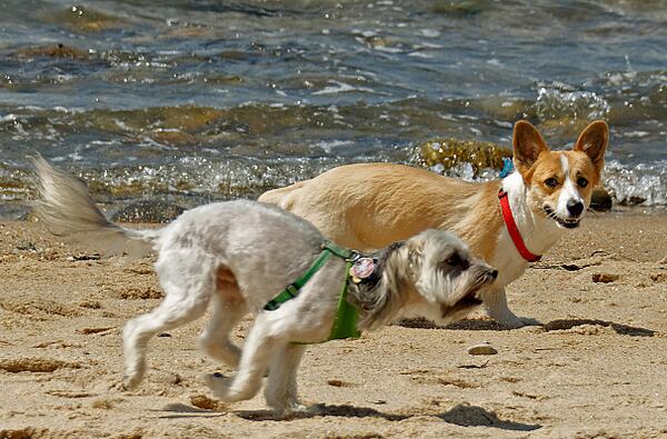 Montauk Beach, New York