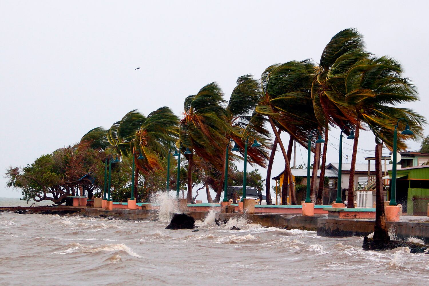 Hurricane Maria