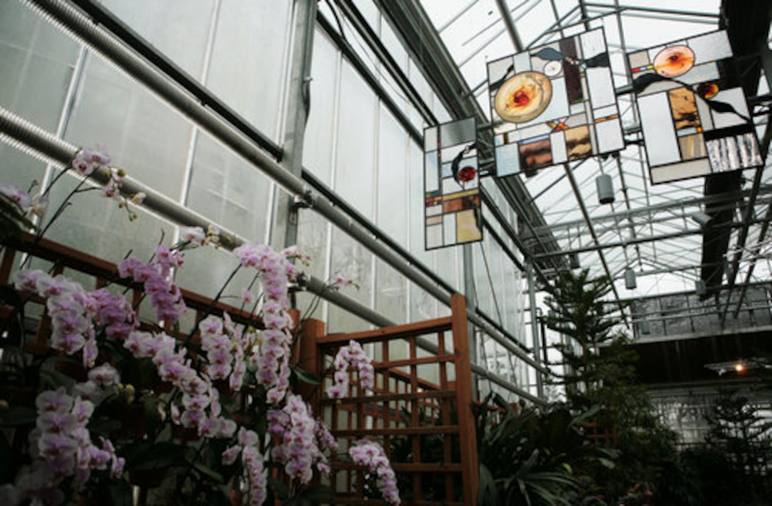 Exhibit puts visitors in 'Orchid Daze'