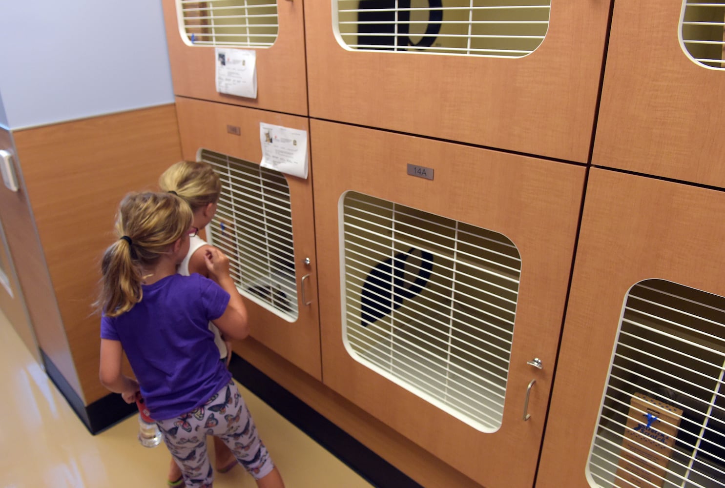 DeKalb opens new $12M animal shelter