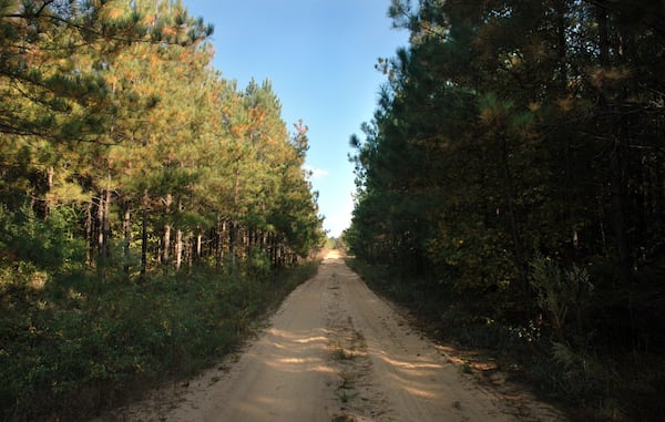 Senate Resolution 82 was a proposed constitutional amendment that would have given timber growers a tax break and forced state taxpayers to foot the bill for revenue counties would lose because of the giveaway. But the state Senate voted it down on the last night of the legislative session. (AJC)