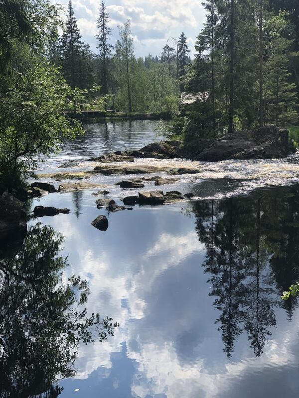 "This photo is of a stream was taken in an area north of St. Petersburg region of Russia in June on a trip with friends near the town of Sortavola," wrote Michael Denham.