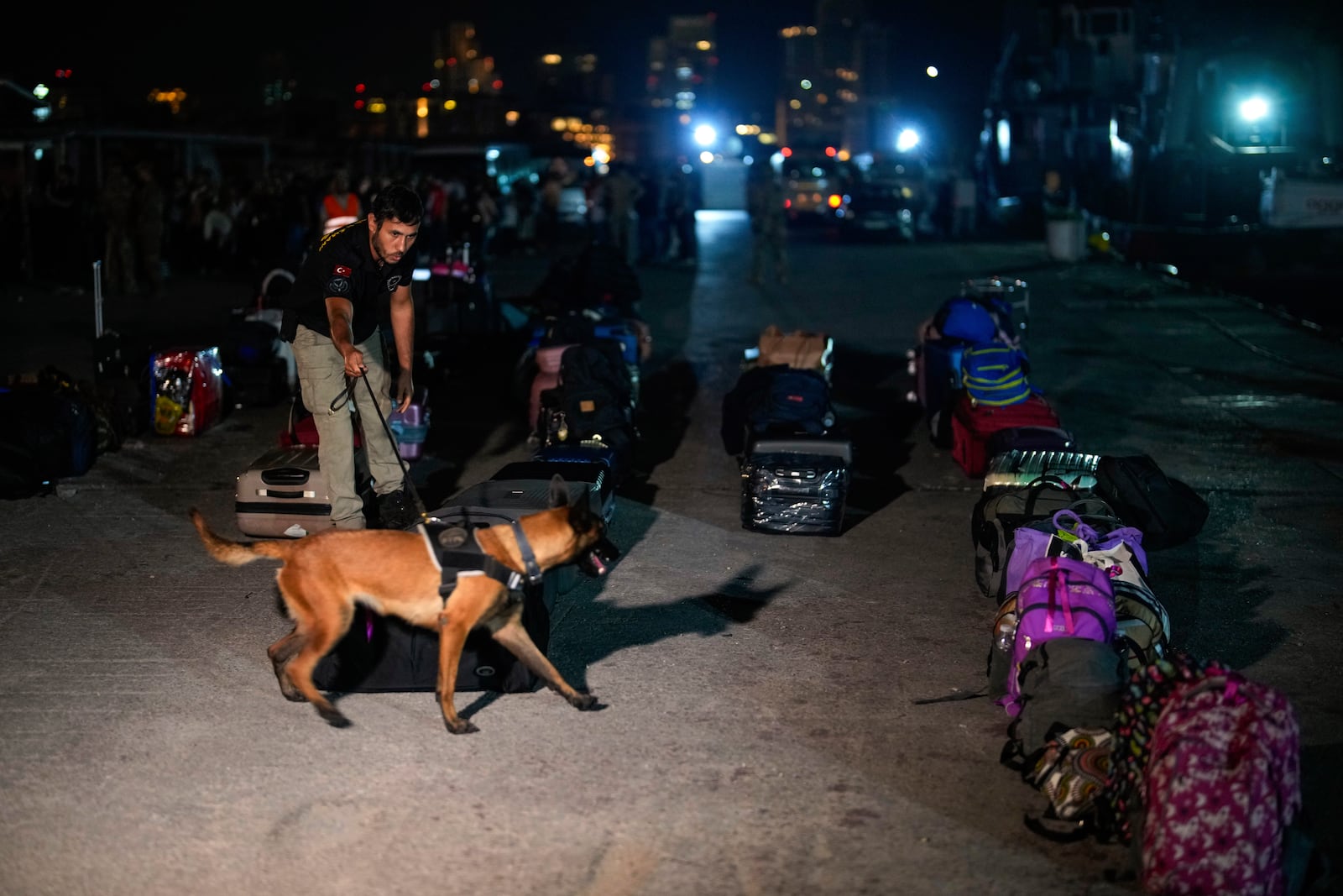 An explosives detection dog inspects luggage of Turkish citizens being prepared to be evacuated on Turkish military ships from Lebanon to Turkey, in Beirut port, Wednesday, Oct. 9, 2024. (AP Photo/Emrah Gurel)