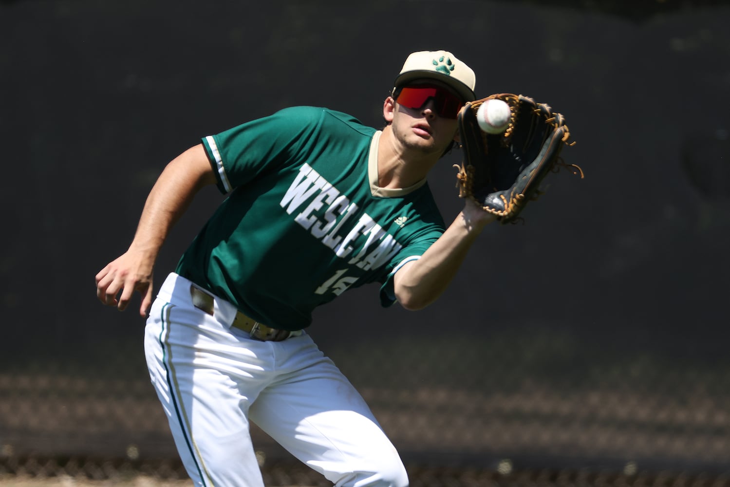 GHSA Baseball Playoffs