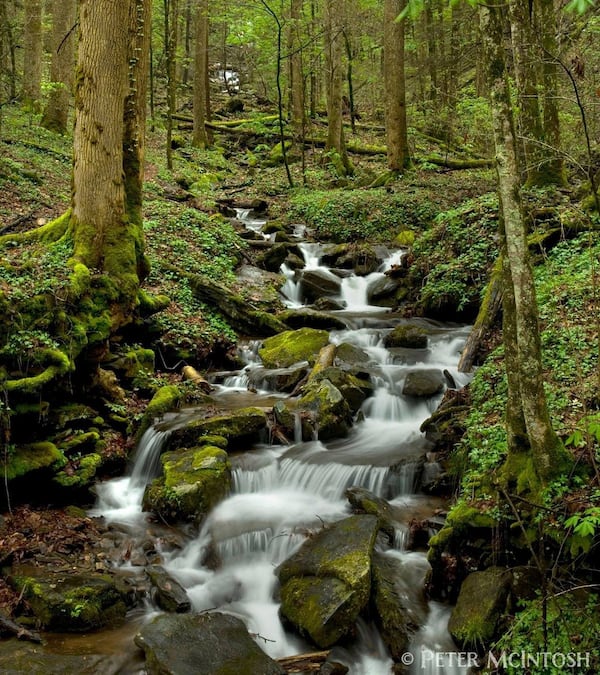 The Chattahoochee River, which supplies water to metro Atlanta and beyond, has its headwaters deep in the North Georgia mountains. Environmental watchdogs say that if the federal government shuts the public out of the logging permit process, a burueacratic mistake could compromise Atlanta’s water supply. CONTRIBUTED BY PETER MCINTOSH