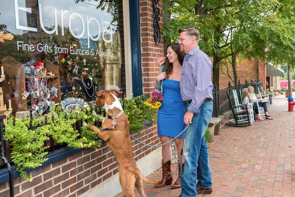 A canine visitor enjoys a little window shopping with his parents in Asheville, N.C. (Courtesy ExploreAsheville.com)