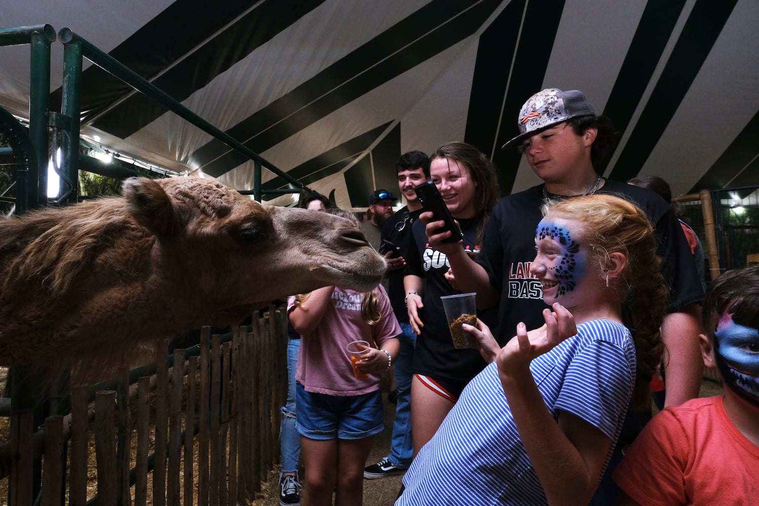 UGA FAIR