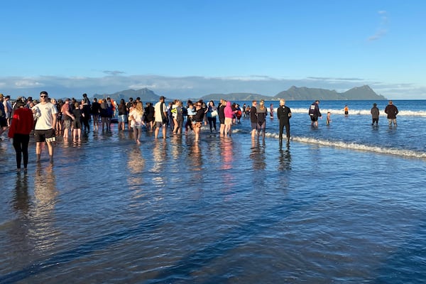 Rescuers stand in the water as they help refloat stranded pilot whales on Ruakākā Beach in northland, New Zealand, Sunday, Nov. 24, 2024. (Nikki Hartley/New Zealand Department Of Conservation via AP)