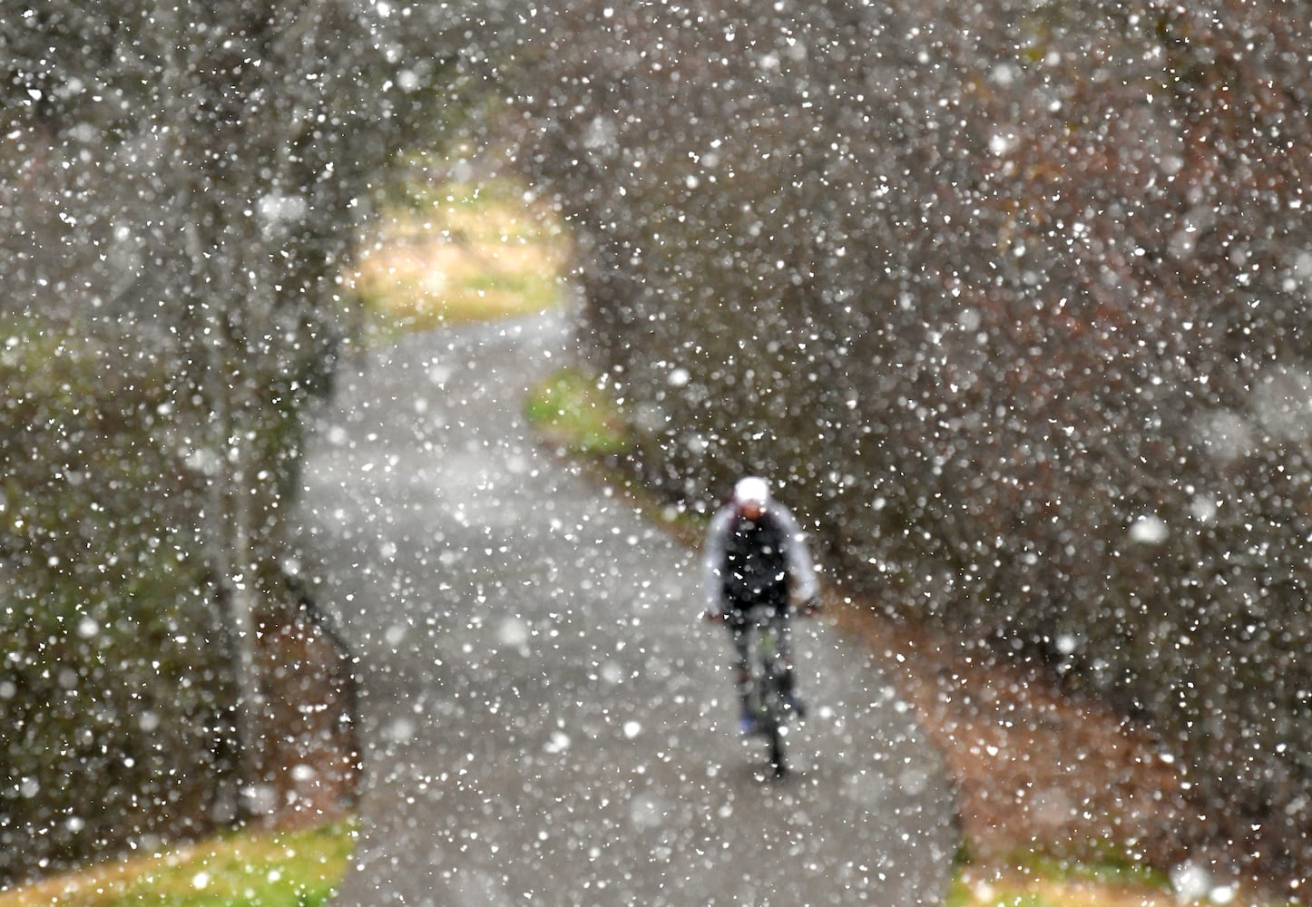 PHOTOS: Snow scenes in metro Atlanta, North Georgia