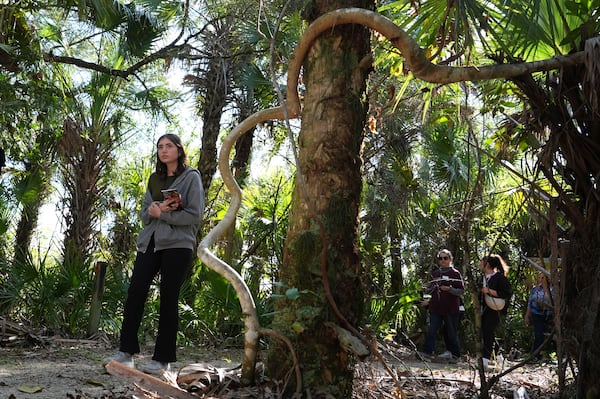 People walk along a path at the Panther National Wildlife Refuge in Southwest Florida, Wednesday, Jan. 15, 2025. (AP Photo/Lynne Sladky)