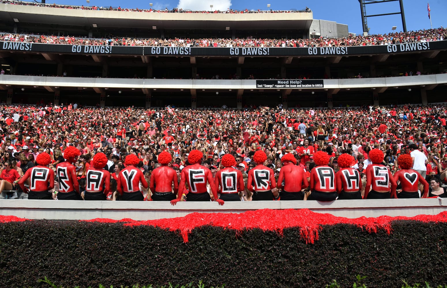 Georgia vs. Tennessee Tech