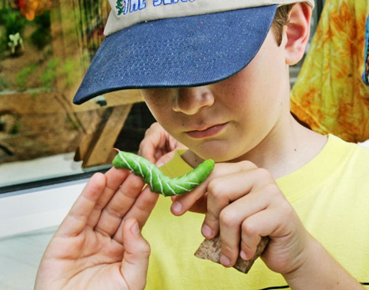 What's new at the Chattahoochee Nature Center