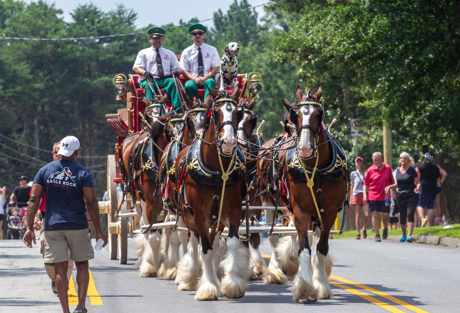 Brookhaven Cherry Blossom Festival