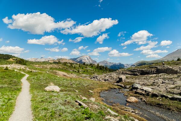 The trails at Banff Sunshine Meadows in the Canadian Rockies allow only foot traffic in a pristine high alpine environment.
(Courtesy of Banff Sunshine Meadows)