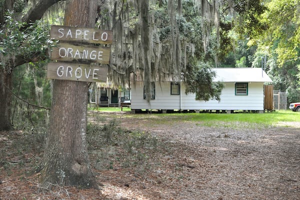 Hogg Hummock is among the historic sites named in the Places in the Peril list published by the Georgia Trust for Historic Preservation. Photos: the Georgia Trust