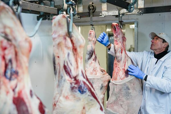 John Jobbagy shows cuts of beef in the meat locker of J.T. Jobbagy Inc. during an interview in the Meatpacking District of Manhattan, Tuesday, Nov. 19, 2024, in New York. (AP Photo/Julia Demaree Nikhinson)